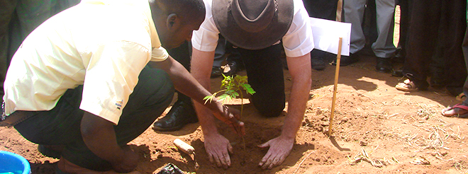 reforestation-malawi.jpg