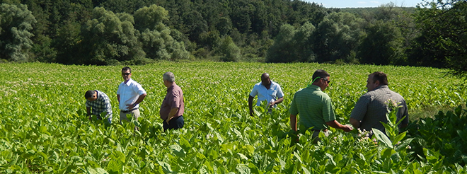 agronomists.jpg